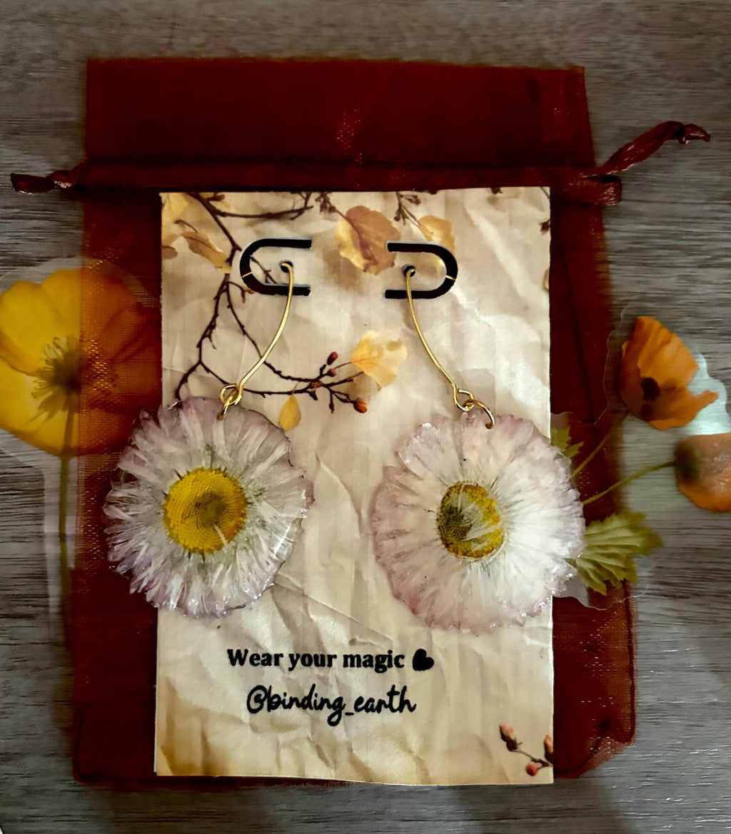 Real Pressed Daisy Earrings