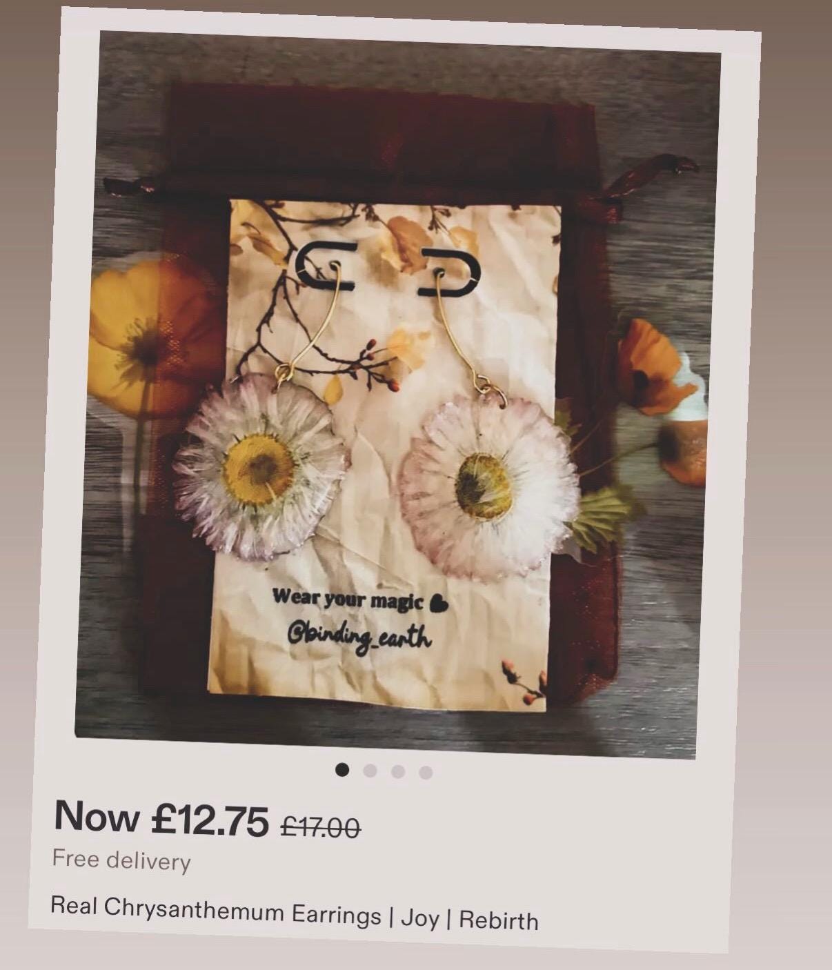Real Pressed Daisy Earrings